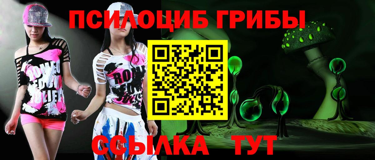 Псилоцибиновые грибы Psilocybe Пугачёв