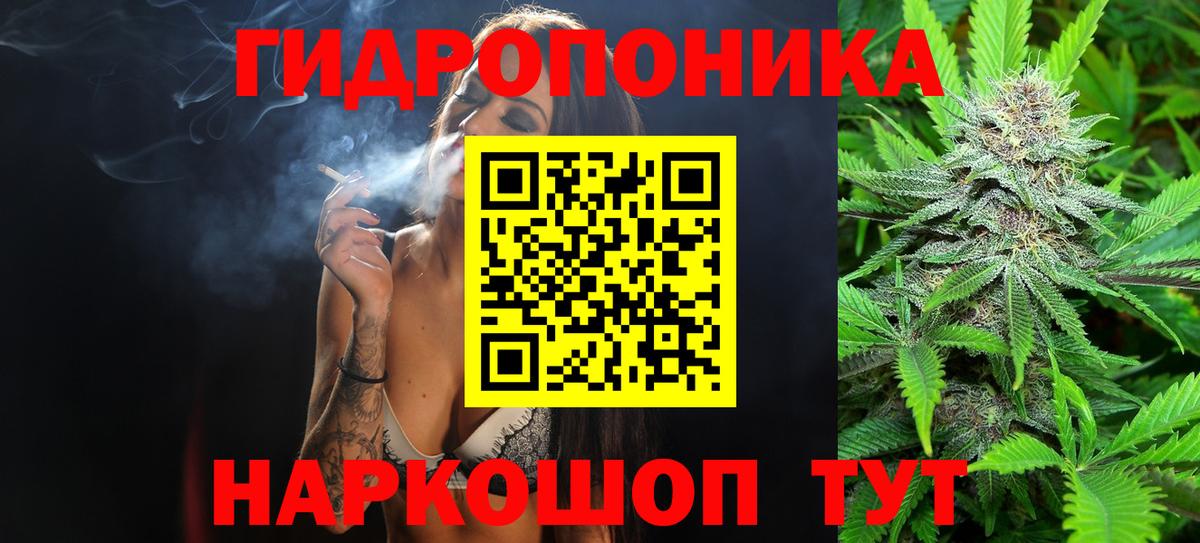 Марихуана Amnesia  МАРИХУАНА тримм  Конопля план  Вход с VPN  Пугачёв  МАРИХУАНА конопля 
